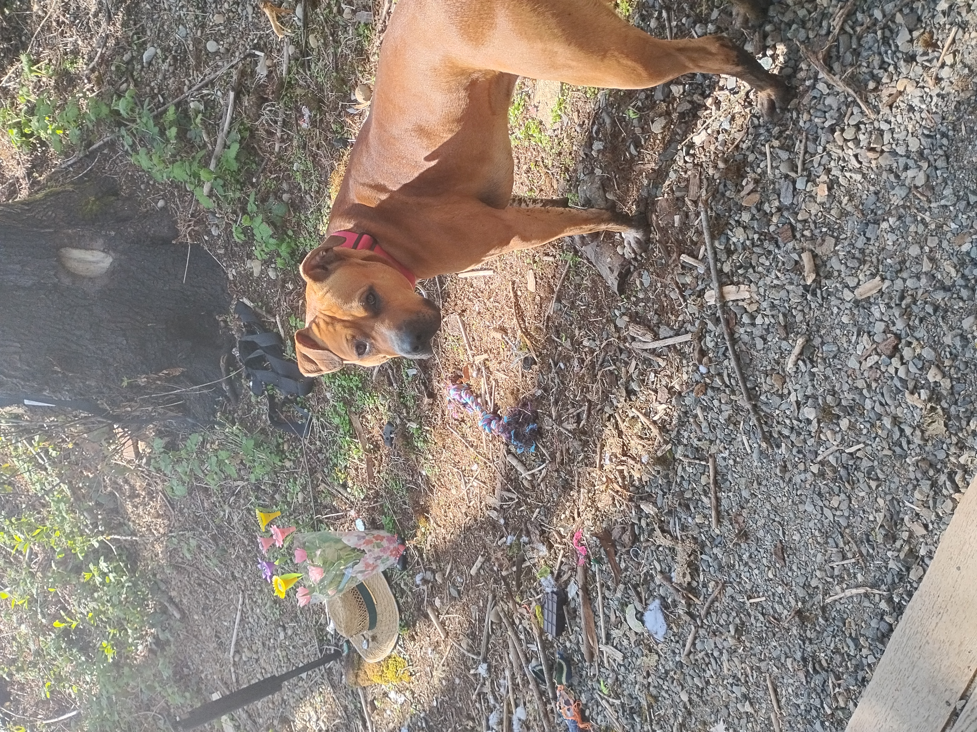 Dude sitting by the flowers