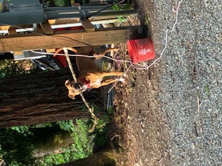 Dude with a stick in his mouth